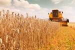 Teucrium launches long/short agricultural commodities ETF