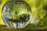 WisdomTree enhances ESG criteria across self-indexed ETFs