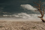 WisdomTree Agricultural commodities el nino ETFs