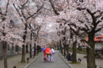 Amundi adds Japan ETF to ‘ESG Universal’ range