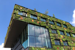 green buildings ESG real estate