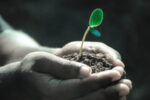 KraneShares launches carbon offset ETF